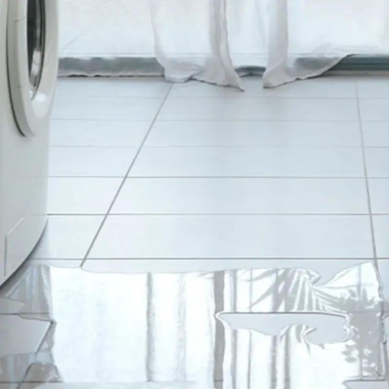 Appliance Leak Cleanup in Lewis and Clark County, MT